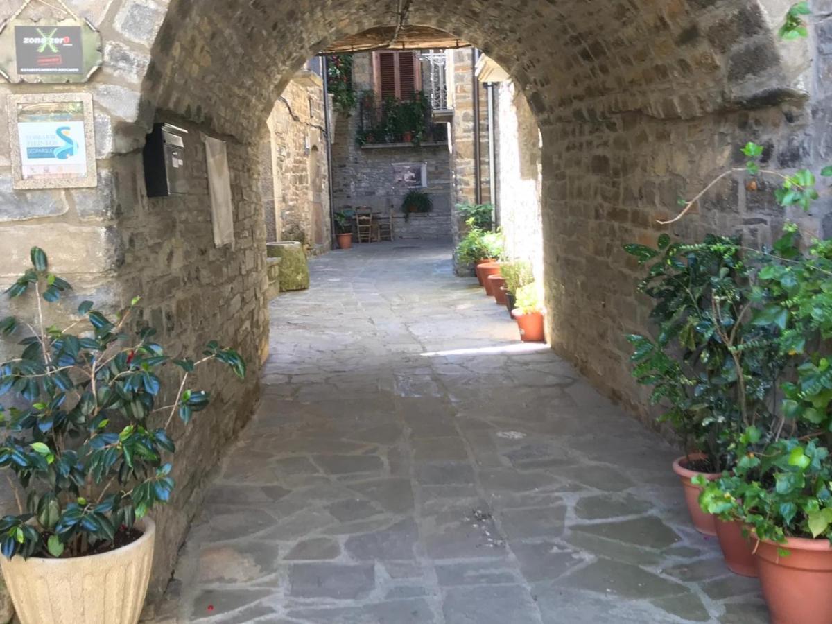El Pueyo de Araguás Casa Encuentra, En El Pirineo Al Lado De Ainsaゲストハウス エクステリア 写真